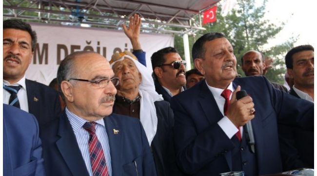 Harran’da Mehmet Özyavuz Coşkusu