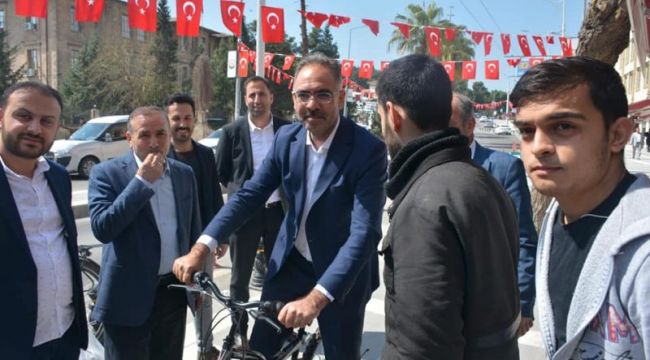 Kuş Asfalt Caddesini Gezdi