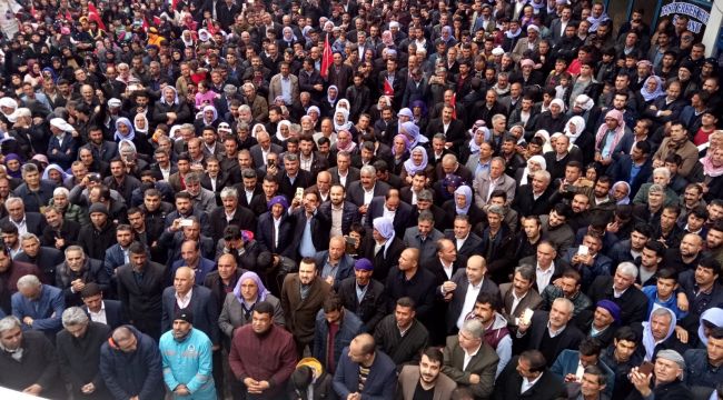 AK PARTİ ONUNLA ŞANLIURFA'DA TARİH YAZDI! (GÜNCELLENDİ)
