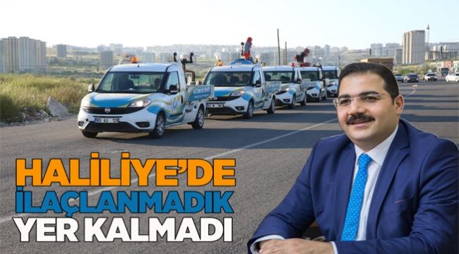 Haliliye'de İlaçlama Çalışmaları Tam Hız Devam Ediyor