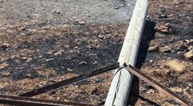 Tarım ve Orman Müdürlüğü’nden ”ANIZ”Uyarısı