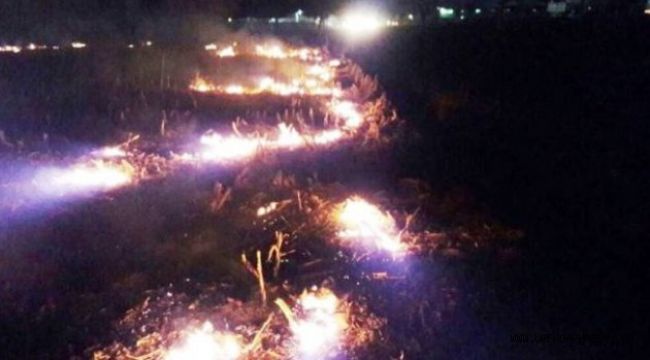 Ceylanpınar’da anız yangını 50 dönümlük araziyi küle çevirdi
