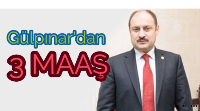 Gülpınar'dan Destek