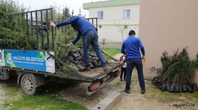 Muhtarlardan Başkan Canpolat'a yeşil teşekkürü