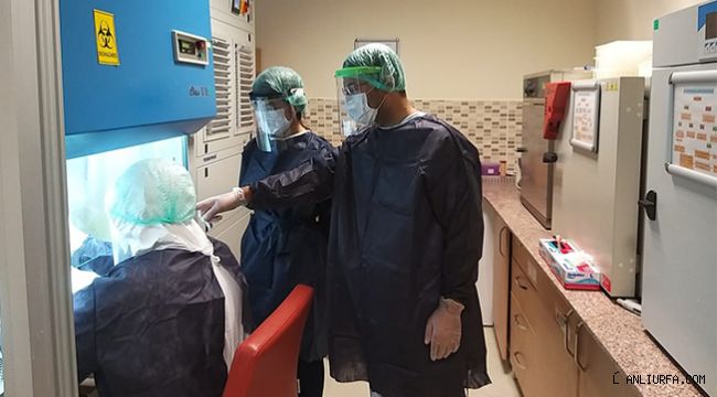 Günde tam 500 Corona testi yapılabilecek