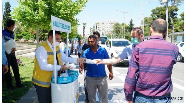 Haliliye'de maske dağıtımı sürüyor