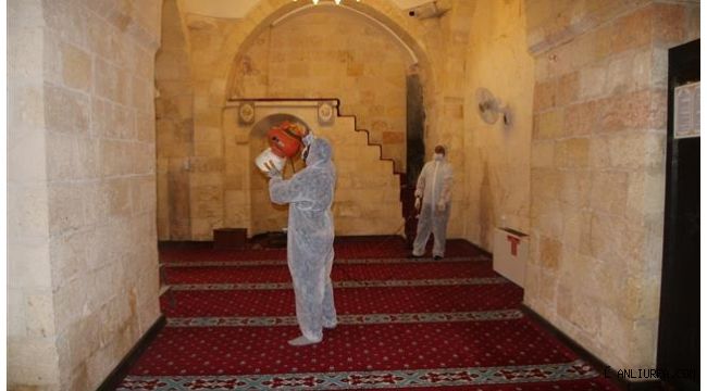 Harran'da camiler ibadete hazırlanıyor