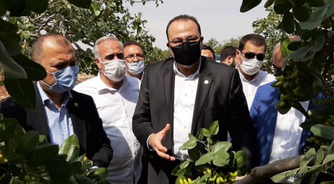 CHP heyeti tespit için Urfa'ya geldi