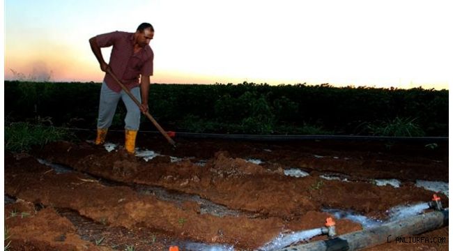 Dicle Elektrik'ten Çiftçilere ‘Değişken Tarife’ önerisi