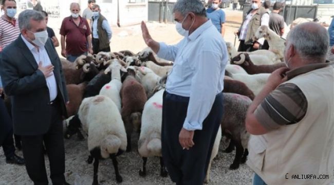 Başkan Beyazgül hayvan borsası esnafıyla buluştu