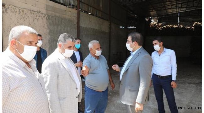 Başkan Canpolat Oduncular Pazarı Esnafını Dinledi