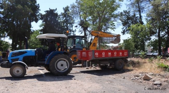 Urfa'da Kentsel dönüşüm için ağaçlar naklediliyor