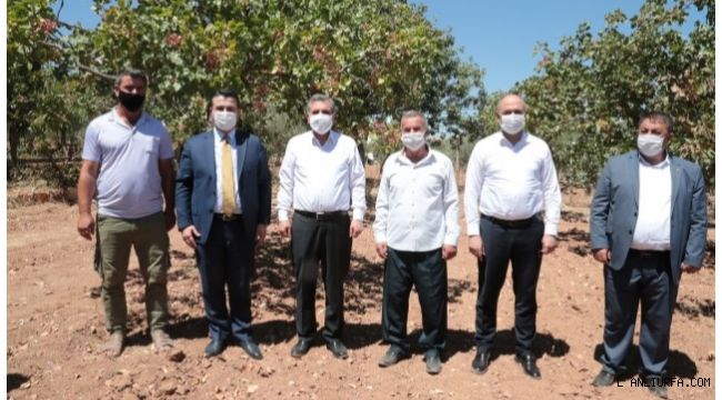 Başkan Beyazgül fıstık çiftçileriyle buluştu