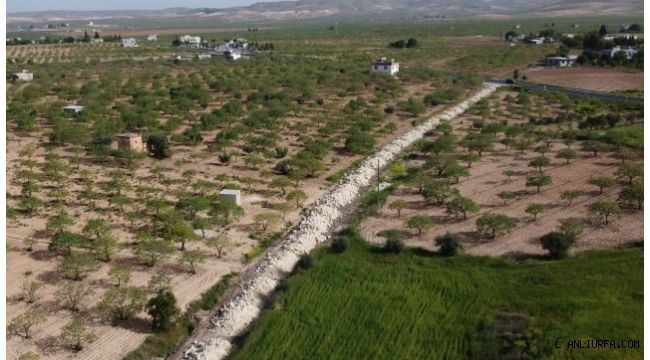 Birecik değişimi Büyükşehir ile yaşıyor