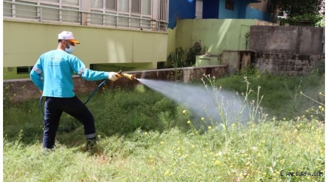 Urfa Büyükşehir Vektör ile Mücadelede Hız Kesmiyor
