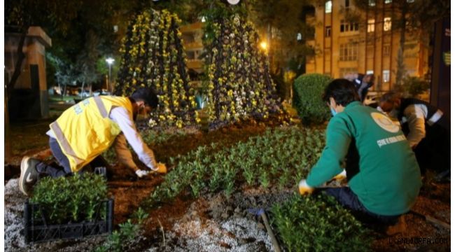 Haliliye’deki parklar peyzaj çalışmalarıyla güzelleşiyor