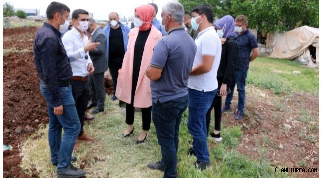 Siverek'te Projesi tamamlanan yeni çevre yolunda çalışmalar başladı