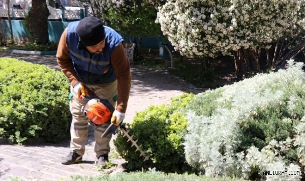 Haliliye Belediyesi, Parkları Yaza Hazırlıyor