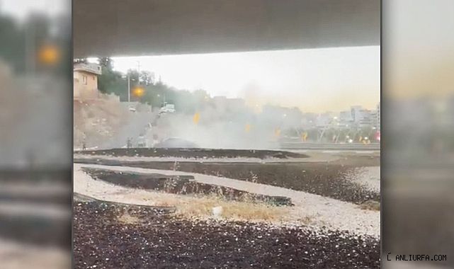 Şanlıurfa'da korkutan yangın!