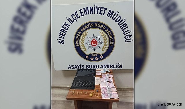 Urfa'da birçok suçtan kaydı bulunan şahıs yakalandı!