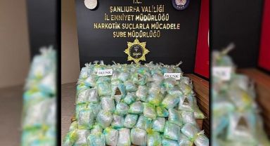 AK Parti Şanlıurfa İl Başkanının oğluna silahlı saldırı olmuştu! İfadeler ortaya çıktı!