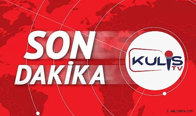Urfa'da çok sayıda ruhsatsız silah ele geçirildi!