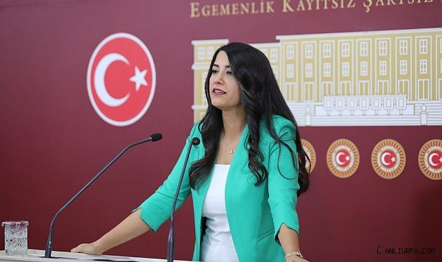 Dilan Kunt Ayan Mecliste Şanlıurfa İçin Konuştu