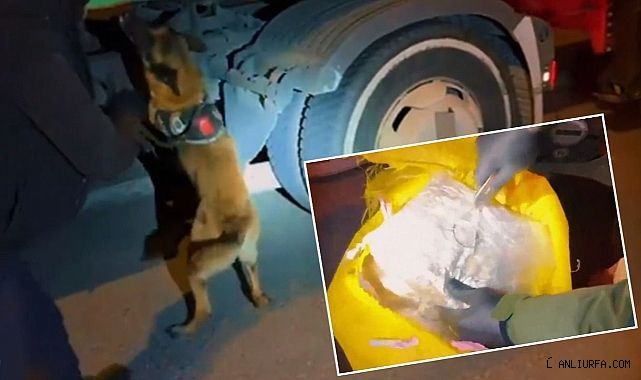 Şanlıurfa'da ekipler takip etti! 85 kilo ele geçirildi!