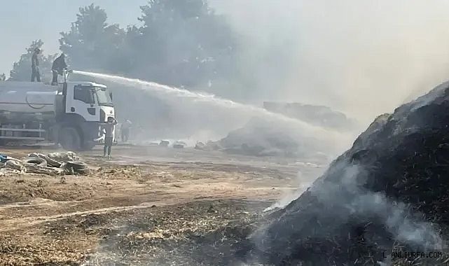 Alevlere teslim oldu! Şanlıurfa'da yine yangın!