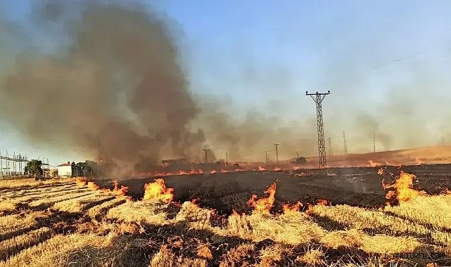 Anız yakmanın olumsuz etkileri sürüyor: Şanlıurfa'da 16 mahalle elektriksiz kaldı!