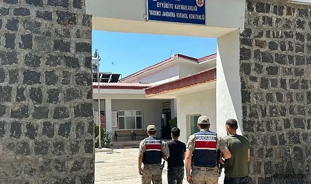 Hırsızlar kaçtı, jandarma kovaladı! Urfa'da suçüstü yakalandılar!