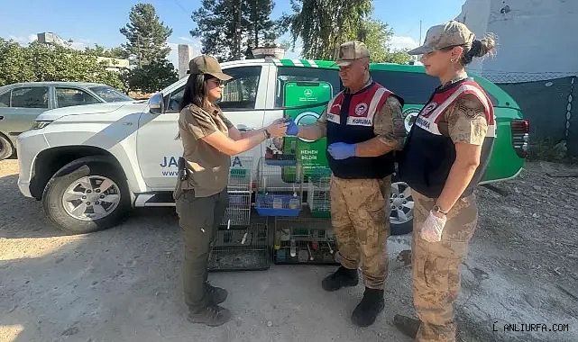 İzinsiz besliyordu! Urfa'da ekipler harekete geçti!