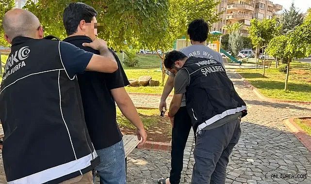 Şanlıurfa'da 353 noktada aranan şahıslara yönelik faaliyet!