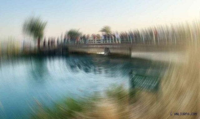 Şanlıurfa'da korkunç olay!