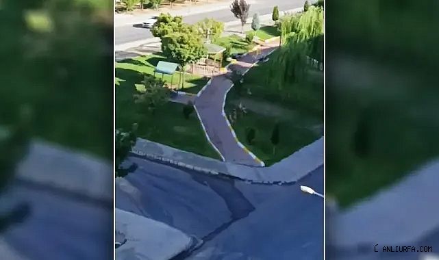 Şanlıurfa'da vatandaşları tedirgin eden görüntü!