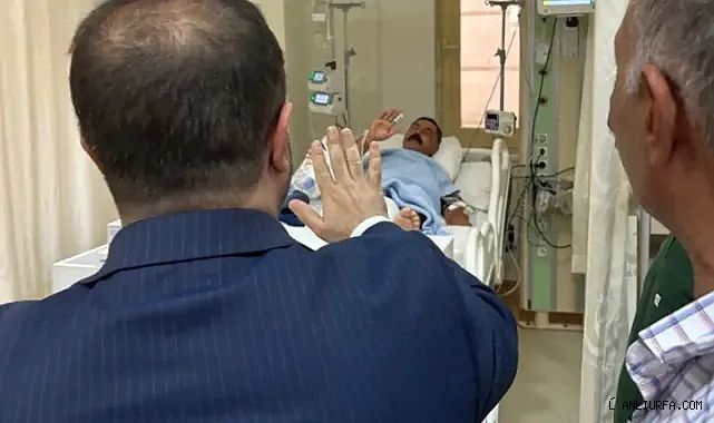 Urfa'da meclis üyesini yılan ısırdı! Hastanede tedavi altına alındı!