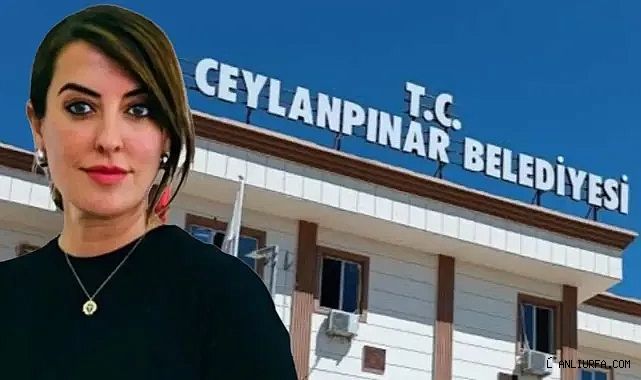 Ceylanpınar Belediye Eş Başkanı Rahşan Yazar İstifa Etti
