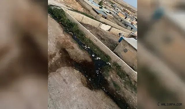Urfa'da vatandaşı isyan ettiren olay! Kanalizasyon suyu mahalleye akıyor!