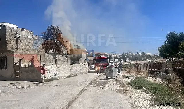 Şanlıurfa'da korkutan yangın!