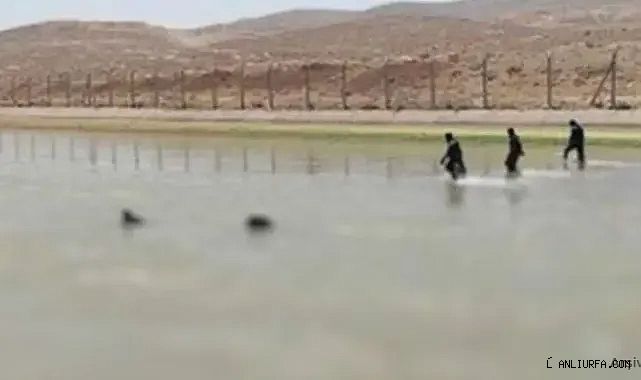 Urfa'da acı olay! Cansız bedeni bulundu!