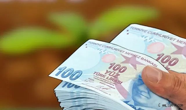1 milyar liranın üzerinde para yatırıldı!