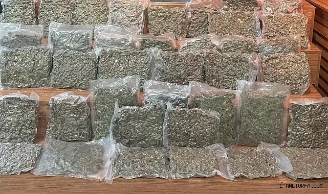 Şanlıurfa'da ele geçirildi! Gözaltılar var