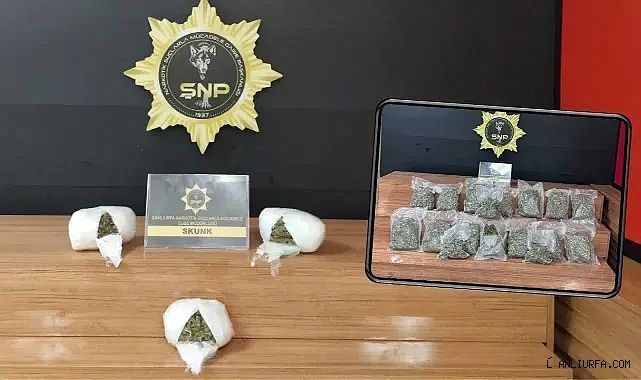 Şanlıurfa'da operasyon! Gözaltılar var