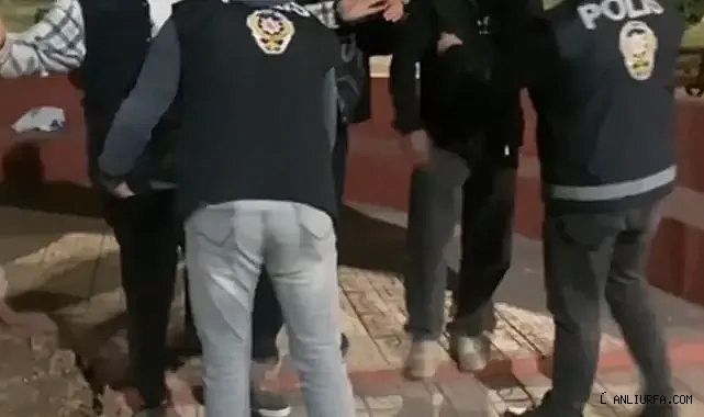 Urfa'da binlerce araç ve şahıs sorgulandı! 19 şahıs yakalandı!
