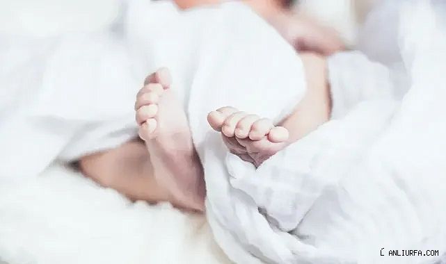 Urfa'da acı olay! 13 günlük bebek kimlik sırasında öldü!