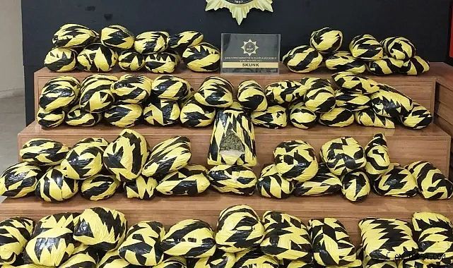 Urfa'da büyük bir uyuşturucu operasyonu daha! 55 kilogram ele geçirildi!