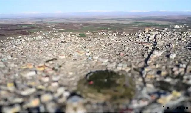 Emniyet ve jandarma harekete geçti! Urfa'nın ilçesinde neler yaşandı?