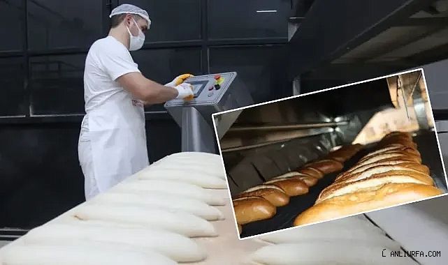 BELTUR'da dikkat çeken rakamlar!
