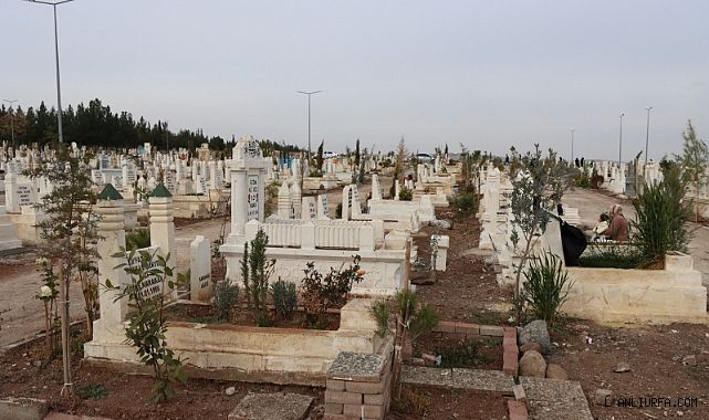 Büyükşehir Belediyesi'nden Mezarlıkta Ağaçlandırma Çalışması