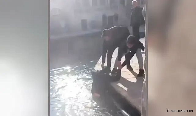 İşte o anlar! Balıklıgöl'e düştü!
